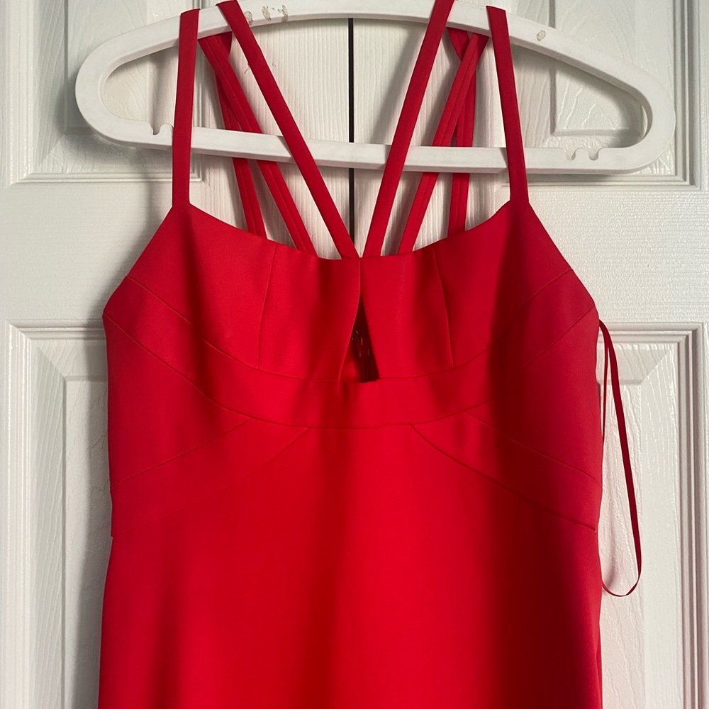 Red BCBG gown.